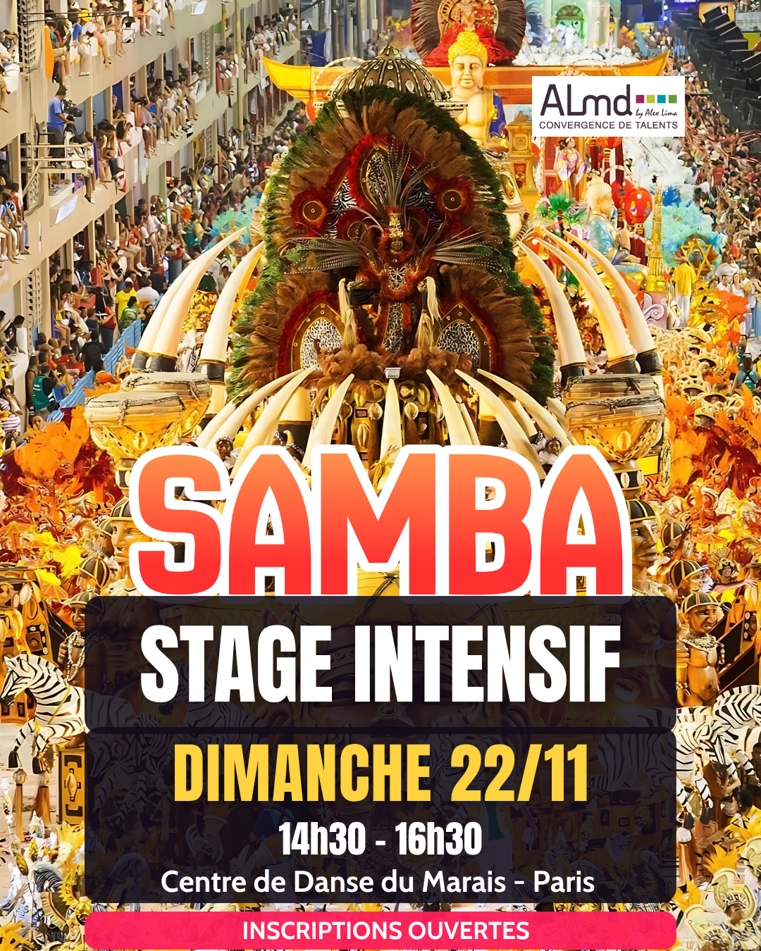 Stage de Samba au Centre du Marais avec ALMD School